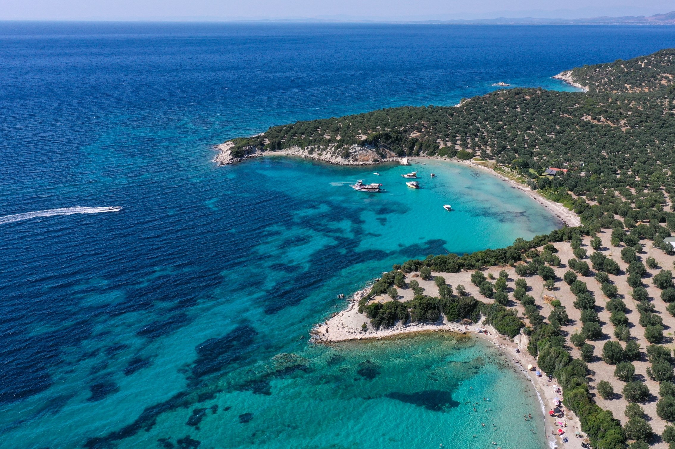 Doğayla Bütünleşen Lüks Villalar